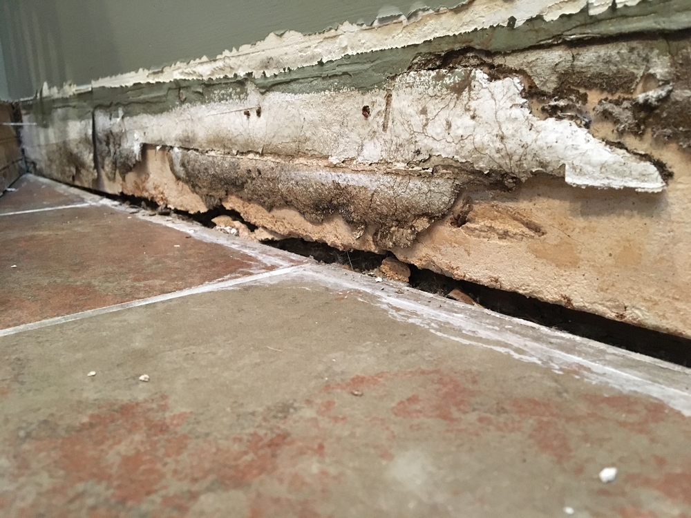 Mold Inspector: Riverside, California