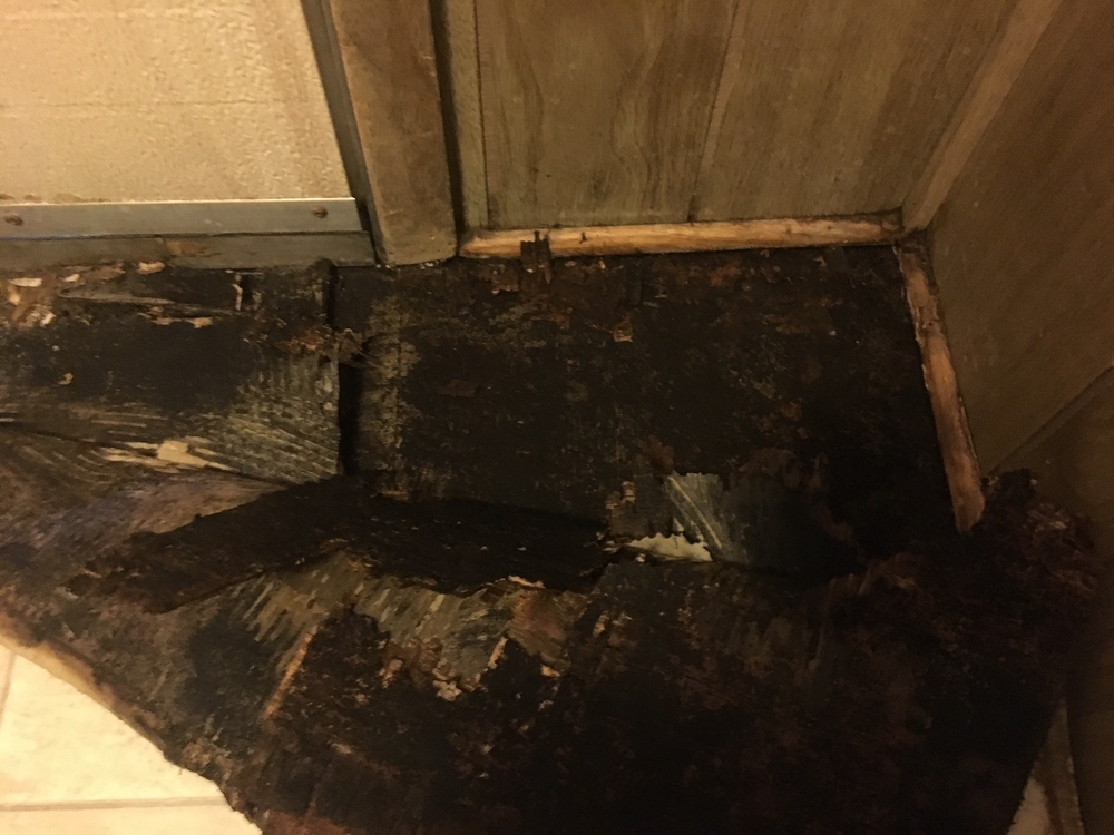 Mold Inspection: San Bernardino, California